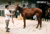 ���� (BYEUN SOO) ����