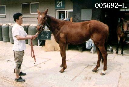 ���� ����