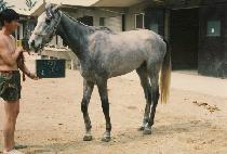 ���� (BUN TU) ����