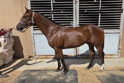 �������� ����