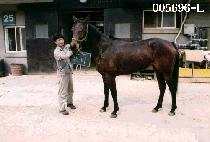 �Ϻ� (WAN BI) ����