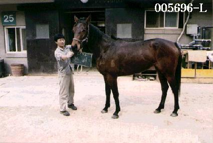 �Ϻ� ����