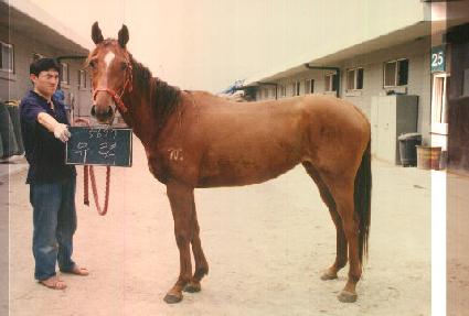 ���� ����