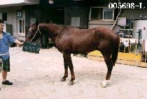 ���ӵ��� (EUM SOK DOL PA) ����