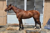 ��Ÿ��ƽ��ġ (FANTASTIC BEACH) ����