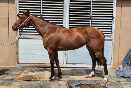 ��Ÿ��ƽ��ġ ����