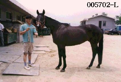 ��ġ���� ����