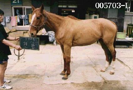 ���� ����