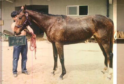 �°��� ����