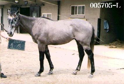 ǳ�� ����