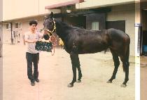 ��ũí�� (DARK CHARM) ����