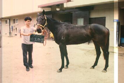 ��ũí�� ����