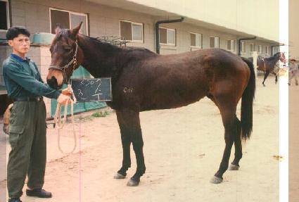 ���� ����