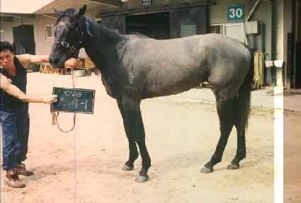 ȣ���� ����