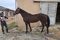 ���̽��Ŀ� (NICE POWER) ����