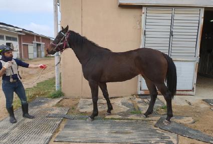 ���̽��Ŀ� ����