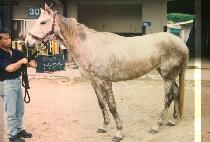 ���ֿ��� (WOO JU YEUL CHA) ����