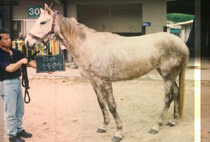 ���ֿ��� ����