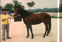 ������ (NAK SEUN JE) ����