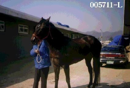 �ջ�� ����