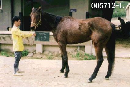 ��ҹ� ����