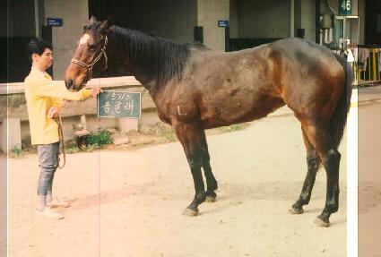 ���޷� ����