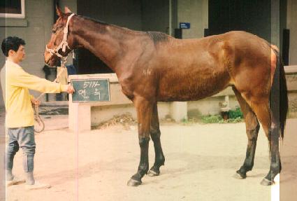 ��� ����