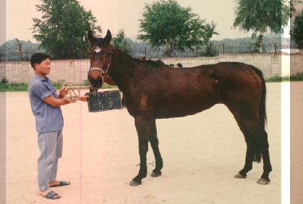 ��ȣ ����