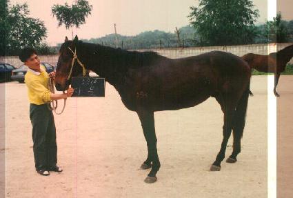 ���� ����