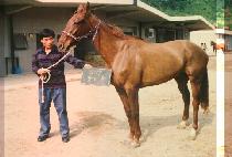 ������ (KANG MA EUL) ����