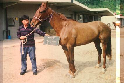 ������ ����