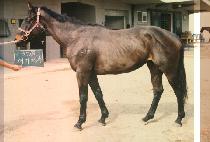 ��⿩�� (EU GI YEU CHA) ����