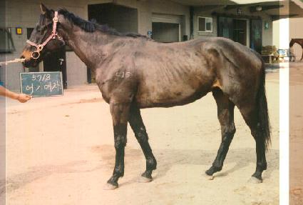 ��⿩�� ����