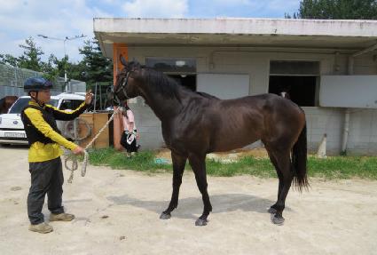 ��Ŭ�������� ����