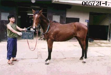 ��� ����