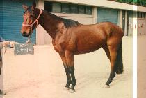 ���۴뱳 (DONG JAK DAE KYO) ����