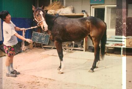 ��õ ����