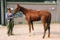 �ɼ� (NEUNG SEUN) ����