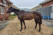 ������ġ (HAPPY TOUCH) ����