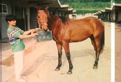 ����� ����