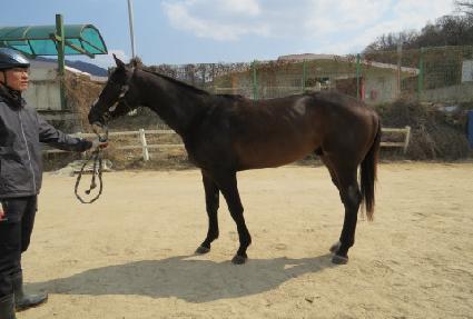 ������ ����