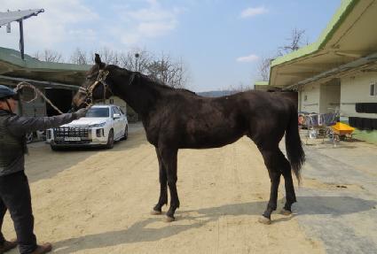 �Ӵ��Ŀ� ����