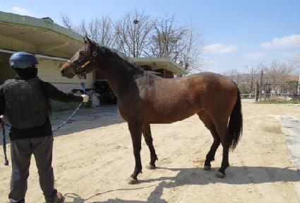 ��Ϳ� ����