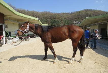 ���������̿� ����