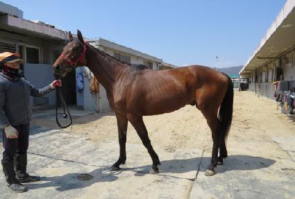 ��� ����