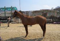 ���̿���� (K N BIGBANG) ����