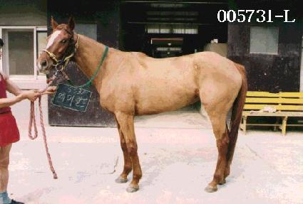 ���Ӷ��� ����