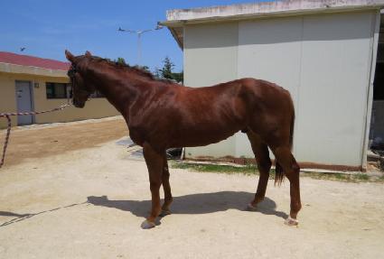 ����Ƽ����Ʈ ����