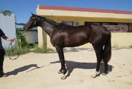 ����Ƽ������ ����