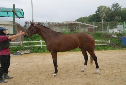 �ĸ��ǺҲ� ����